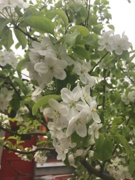 珍美丽❤发抽奖点舞主播照片