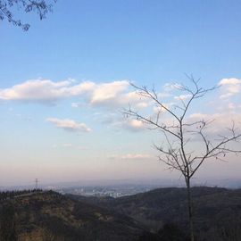 赵赵么么哒~~主播照片