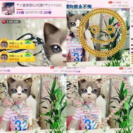 ☂客家甜心金牌代理☂主播照片