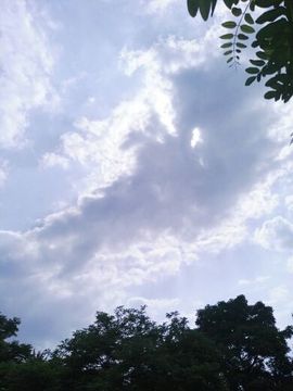 無为_主播照片