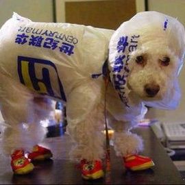 ღ寶兒ღ跑调王主播照片