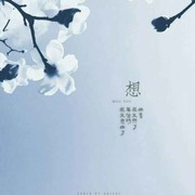 风华一世的头像