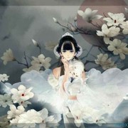 秋实81的头像