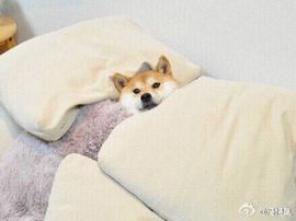 转身✔陌路主播照片