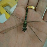 AAA.小情绪