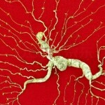 艳子iw海报