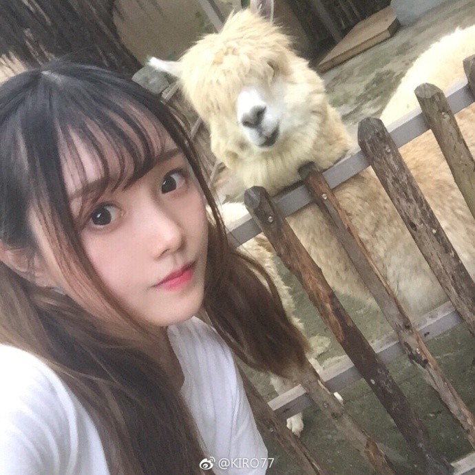 習慣有妮的图片