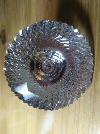 开心果p0主播照片