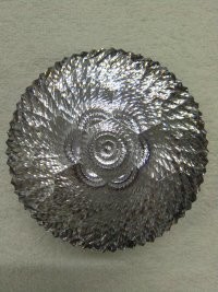 开心果p0主播照片