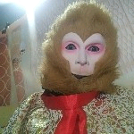 未来猴王的主播照片