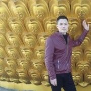 阳光丛林海报