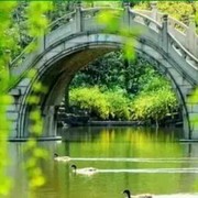 福禄寿喜s