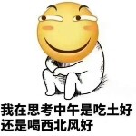 对你那么真骗我那么深