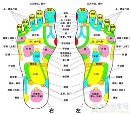 和合时尚主播照片