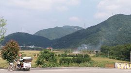 庄桐主播照片
