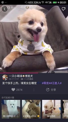 ✨媳婦⭐求🌙帶走✨主播照片