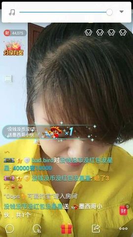 海鸽晚上播主播照片
