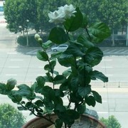 新疆，云南专线