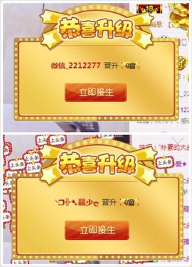 ❤猫咪❤落幕🍂❤主播照片
