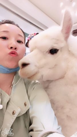 叶儿^^主播照片