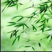 -支穿云箭