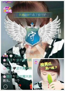 海鸽晚上播主播照片