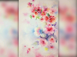 惟風(fēng)w的主播照片