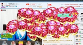 一路，向北主播照片