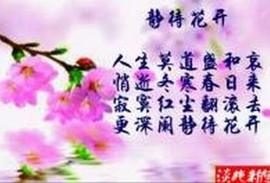 ╰✿为6守护、念她主播照片