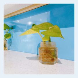 小灿烂从心开始。主播照片