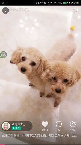 ✨媳婦⭐求🌙帶走✨主播照片