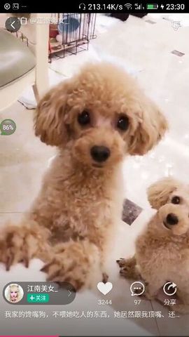 ✨媳婦⭐求🌙帶走✨主播照片