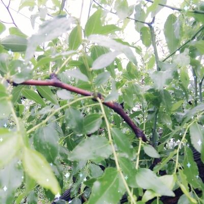 ✨媳婦⭐求🌙帶走✨主播照片