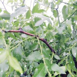 ✨媳婦⭐求🌙帶走✨主播照片