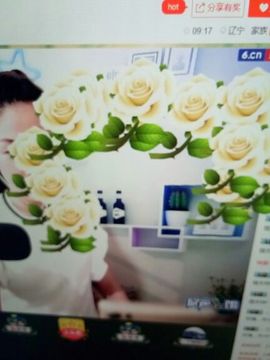 冰💋心的憧憬主播照片