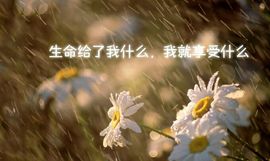 只为你，一人撒娇主播照片