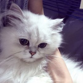 ♓️77～主播照片