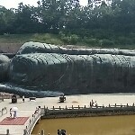 雪域孤狼t