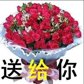 红太阳!c主播照片