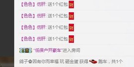 海鸽晚上播主播照片
