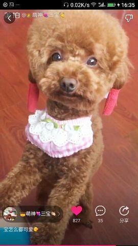 ✨媳婦⭐求🌙帶走✨主播照片