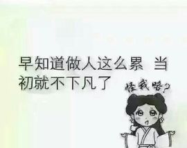 燕馨梦主播照片