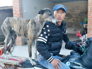 沉默离开0的主播照片