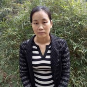 王翠利