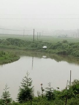心蔓✿来吹牛哇♫主播照片