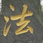 想你了ts