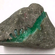 嗨！柠檬💖小小月半的主播照片