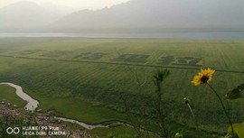 魅力女人唱民歌主播照片