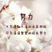 平安是福r9b的头像