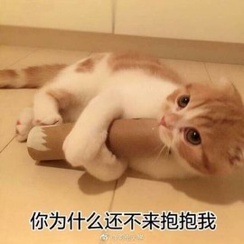 俊俊小虎牙主播照片